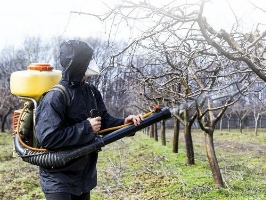 Опрыскивание деревьев Пенза